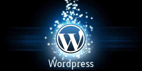 WP Post Views Count without plugin